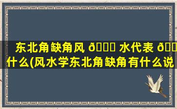 东北角缺角风 🐅 水代表 🐋 什么(风水学东北角缺角有什么说法)